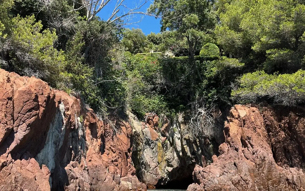 A narrow gap in red rock with trees and scrub growing above it