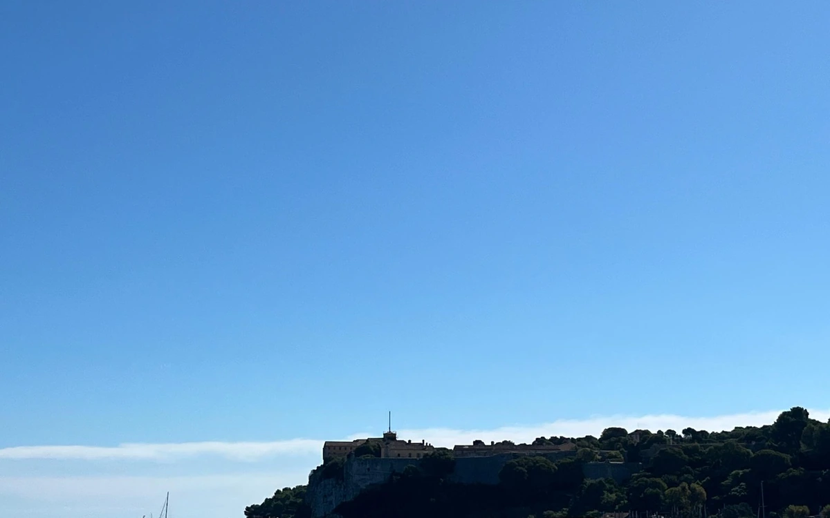 Fort walls above the pines on a low island, seen from the water
