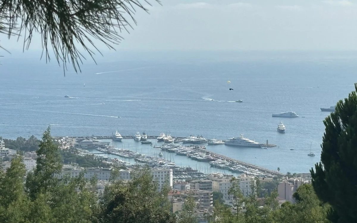 Yachts in the port and boats on the bay, seen through pine branches from high above the town