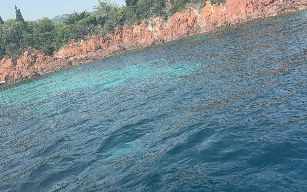 Red rock cliffs with pines on top above turquoise water