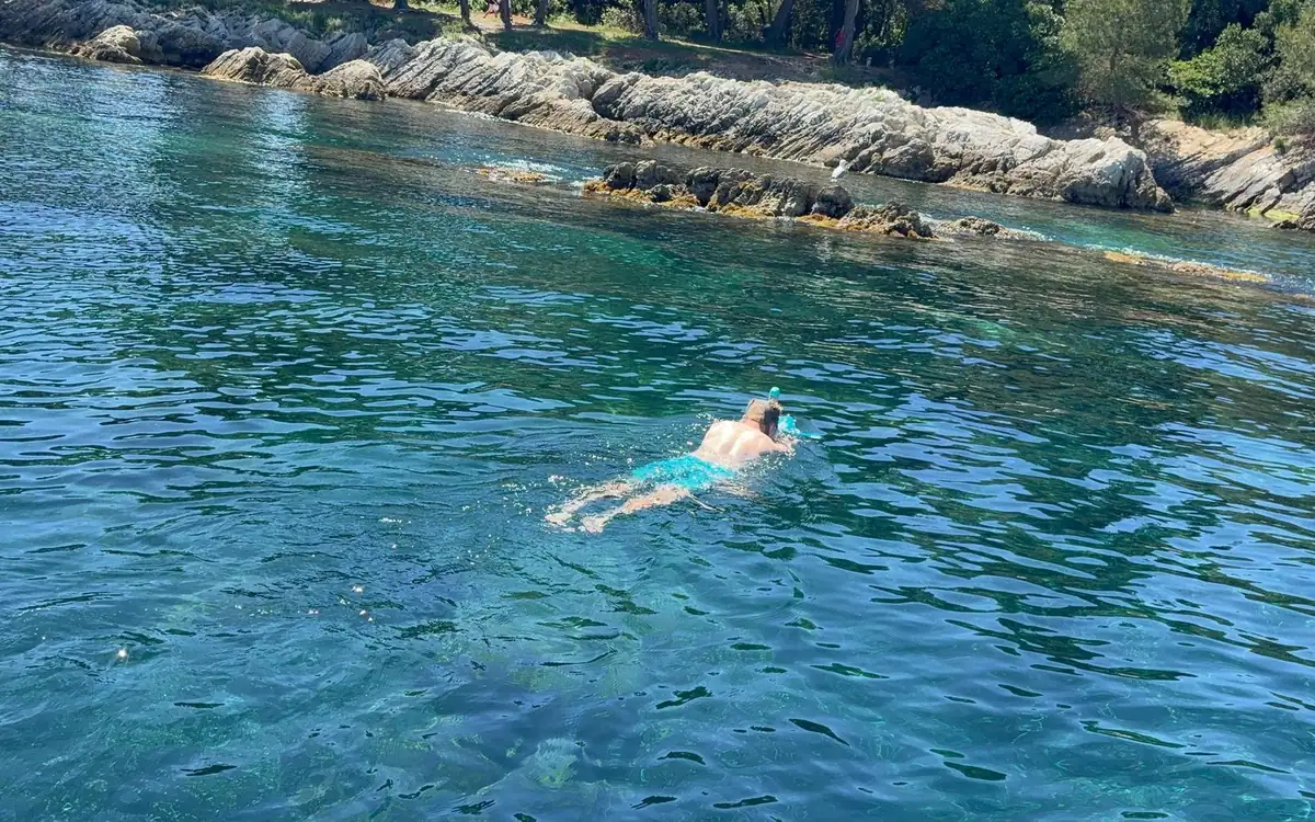 A snorkeller in a mask swimming in clear green water beside low rocks and pine trees